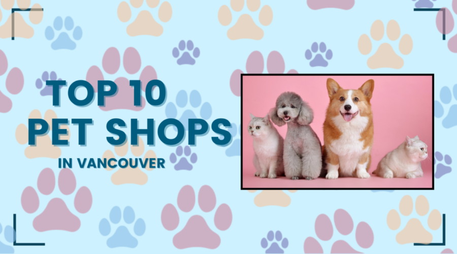 The Top 10 Pet Shops in Vancouver